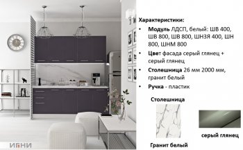 Кухонный гарнитур 2000 мм Агата (Игни) в Полевском - polevskoj.mebel-e96.ru