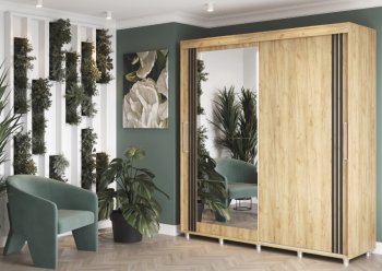 Шкаф-купе 2000 мм Форест крафт золотой(Стиль) в Полевском - polevskoj.mebel-e96.ru