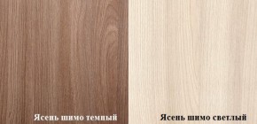 Гостиная Прага (Ясень шимо тёмный/светлый) в Полевском - polevskoj.mebel-e96.ru