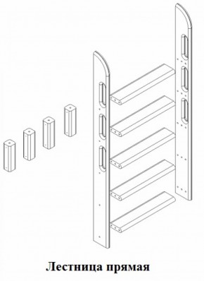 Кровать Сонечка 2-х ярусная (модульная) в Полевском - polevskoj.mebel-e96.ru