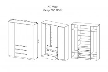 Шкаф распашной Мори 1600 мм графит (ДСВ) в Полевском - polevskoj.mebel-e96.ru