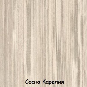 Шкаф 500 мм ДМ-03 Серия 2 (СВ) в Полевском - polevskoj.mebel-e96.ru