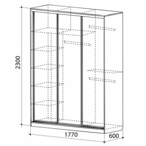 Шкаф-купе Бассо 1-600 (полки слева) в Полевском - polevskoj.mebel-e96.ru