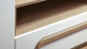 Тумба для теле и радиоаппаратуры 30.04 - 02 Дора в Полевском - polevskoj.mebel-e96.ru