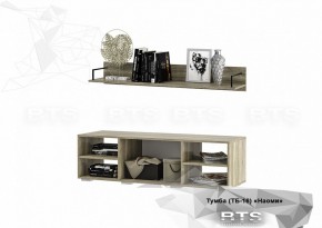 Тумба ТВ ТБ-16 Наоми (БТС) в Полевском - polevskoj.mebel-e96.ru